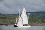 whyw13 sun 0985